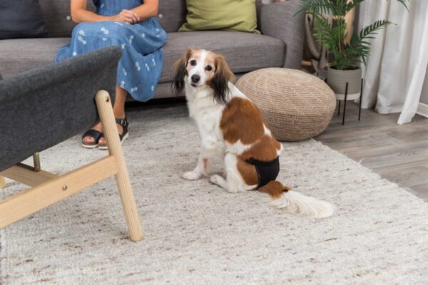 Tikskydd - Bild 11