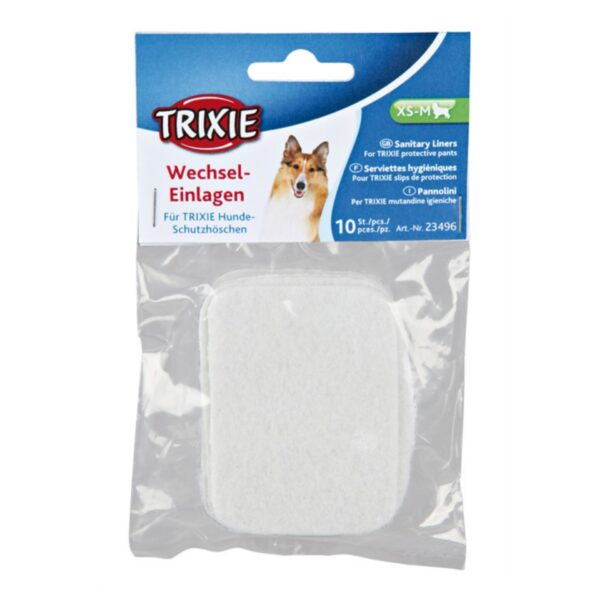 Tikskyddsinlägg