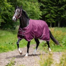 Landon 1200D, 0&nbsp;g