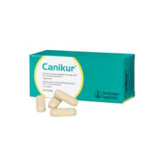 Canikur tuggtabletter 12 x 4,4  gram