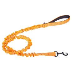 Elastiskt hundkoppel